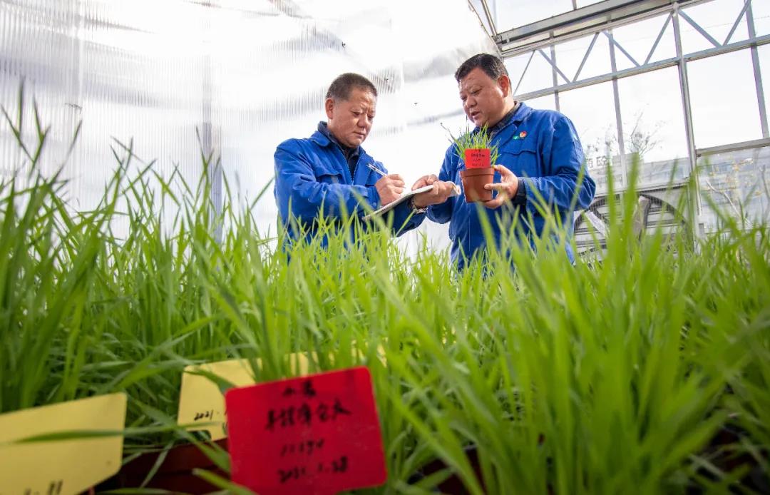 微信圖片_20210321100427.jpg 微信圖片_20210321100427.jpg