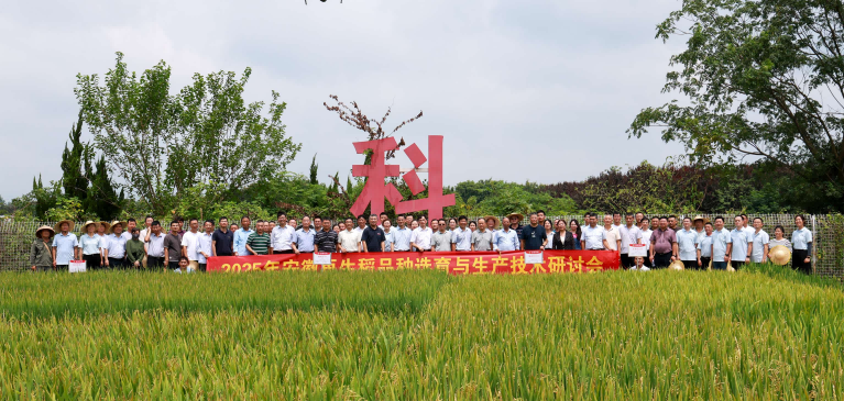 圖片14.png 圖片14.png